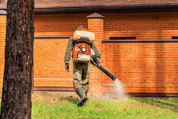 Bed Bug Clearance Verification and Documentation in Waimalu